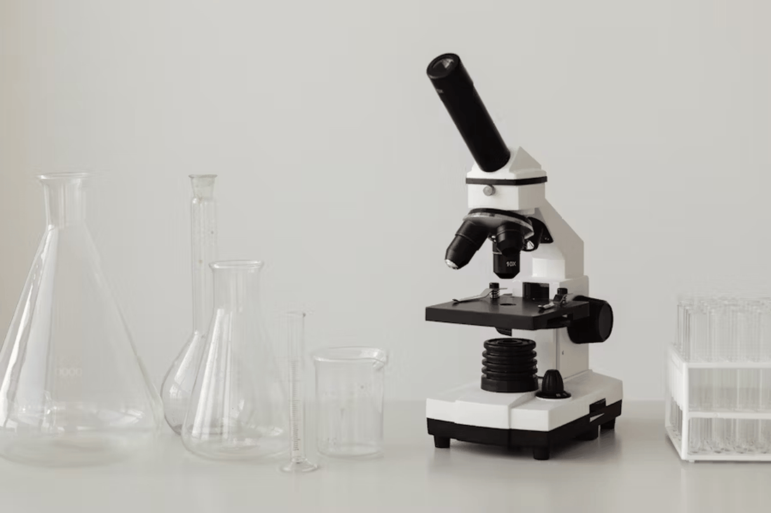 The Future of Functional Mushrooms – Trends, Research, and Innovations in Wellness - MENTEA