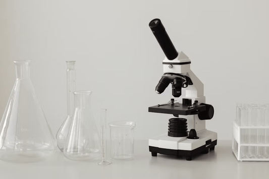 The Future of Functional Mushrooms – Trends, Research, and Innovations in Wellness - MENTEA