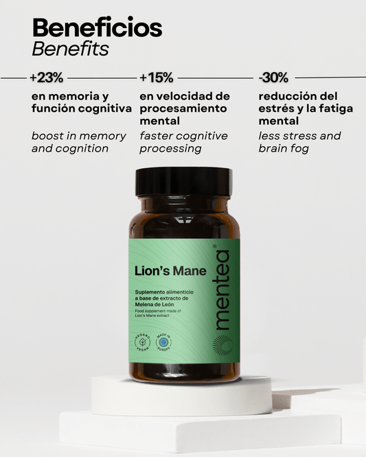 Focus & Flow - MENTEA -