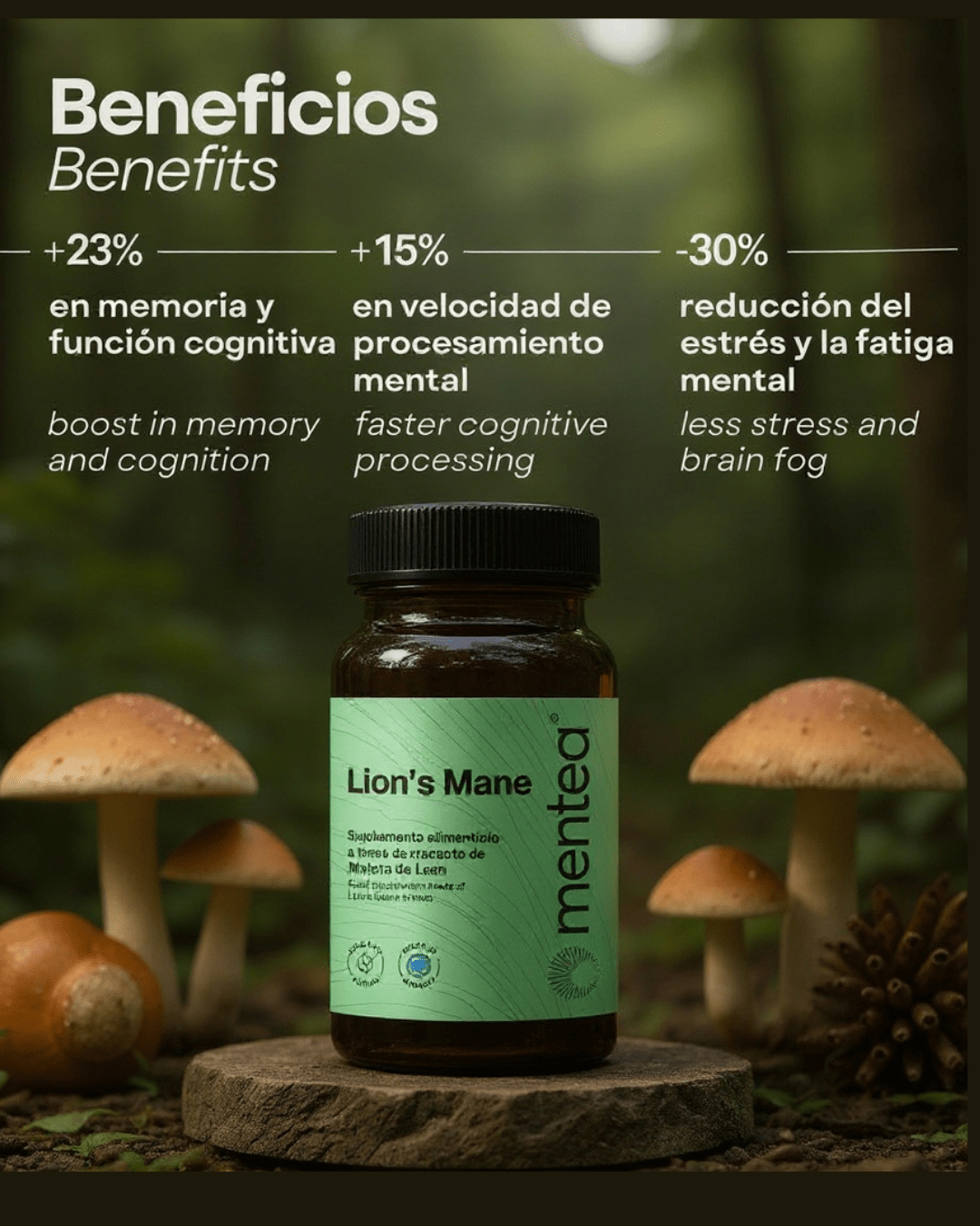 Lion's Mane - MENTEA -