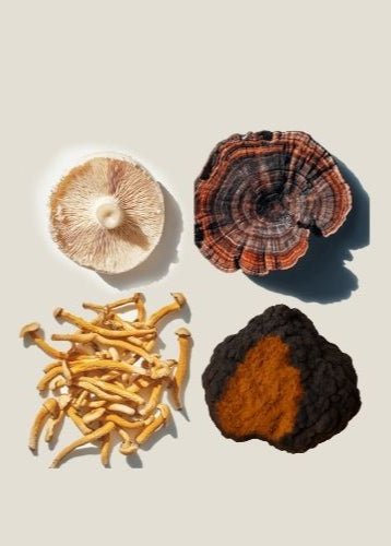 Adaptogens: Science, Innovation, and the Future of Natural Wellness - MENTEA