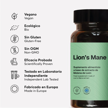 Focus & Fire - MENTEA - 