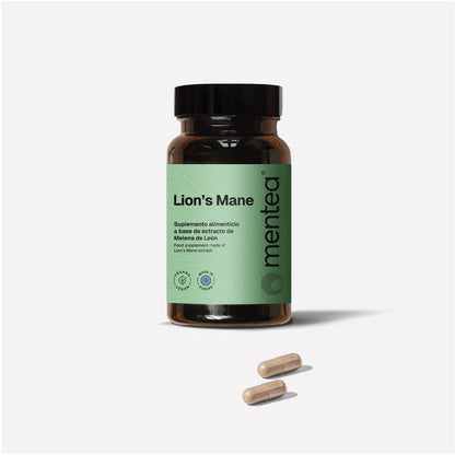 Focus & Fire - MENTEA - 