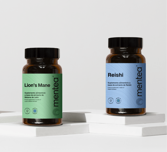 Focus & Flow - MENTEA - 