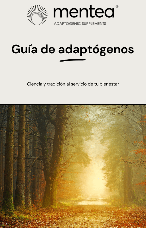 Guía Mentea - MENTEA - 