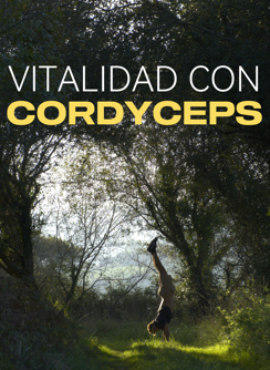 Cordyceps